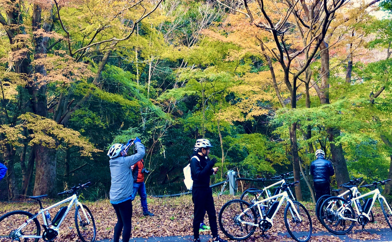 駿河湾フェリー | KONA CYCLE